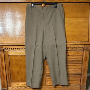 Alfred Dunner Quiet Luxury Classic Taupe Elastic Back Pull On Straight Leg Pants